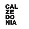 Calzedonia Logotyp