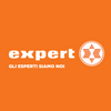 Expert Logotipo